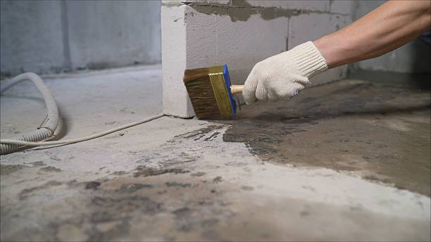 24/7 Emergency Crawl Space Encapsulation experts in Homer, MI